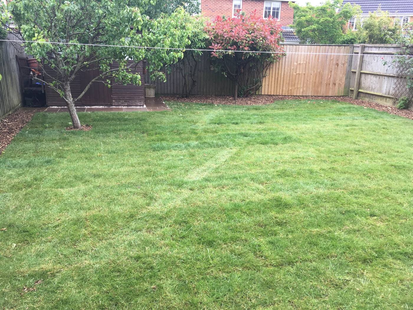 A newly turfed lawn